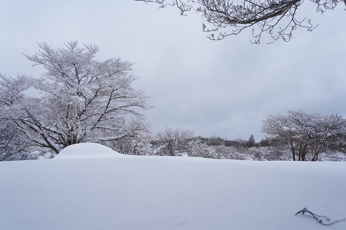 愛宕山_積雪_2022　No129