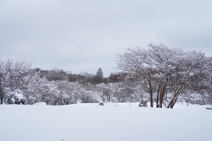 愛宕山_積雪_2022　No130