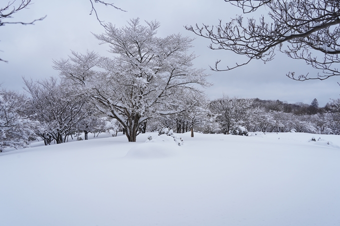 愛宕山_積雪_2022　No134