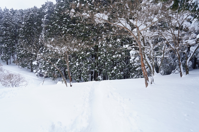 愛宕山_積雪_2022　No135