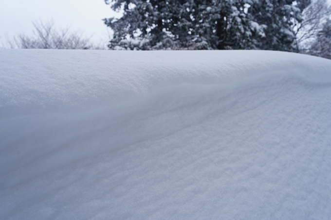 愛宕山_積雪_2022　No136