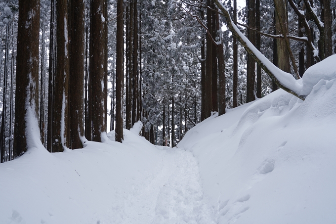 愛宕山_積雪_2022　No141