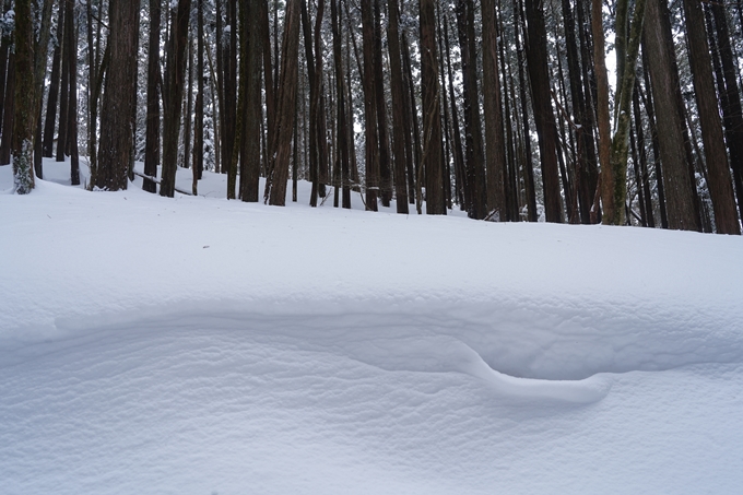 愛宕山_積雪_2022　No142