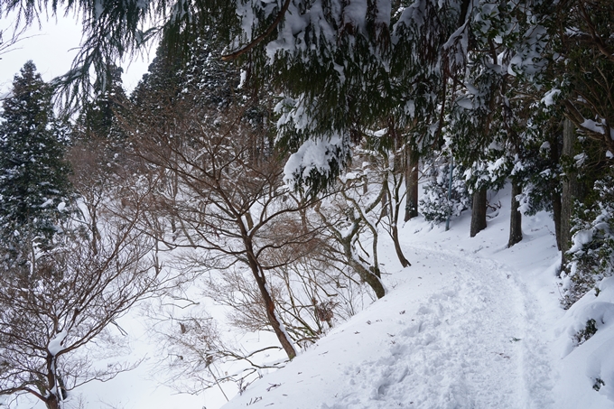 愛宕山_積雪_2022　No146