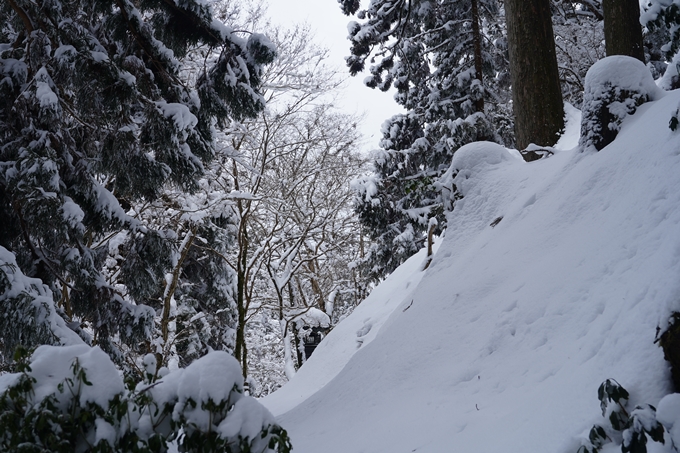 愛宕山_積雪_2022　No150