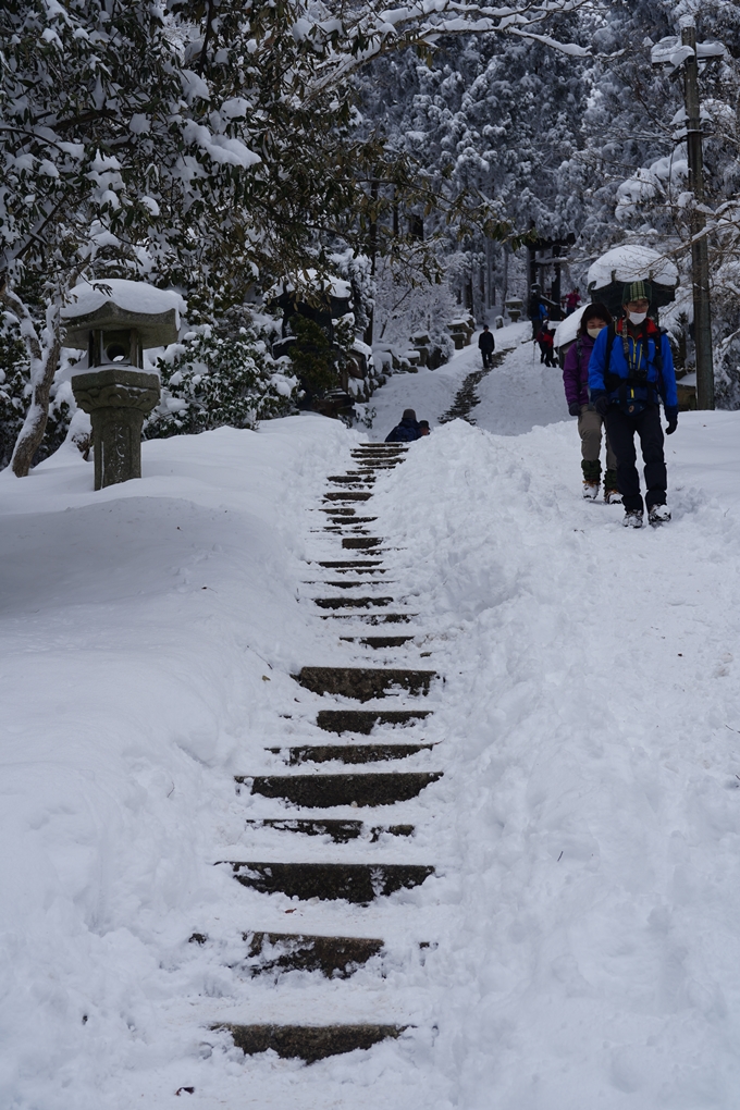 愛宕山_積雪_2022　No151