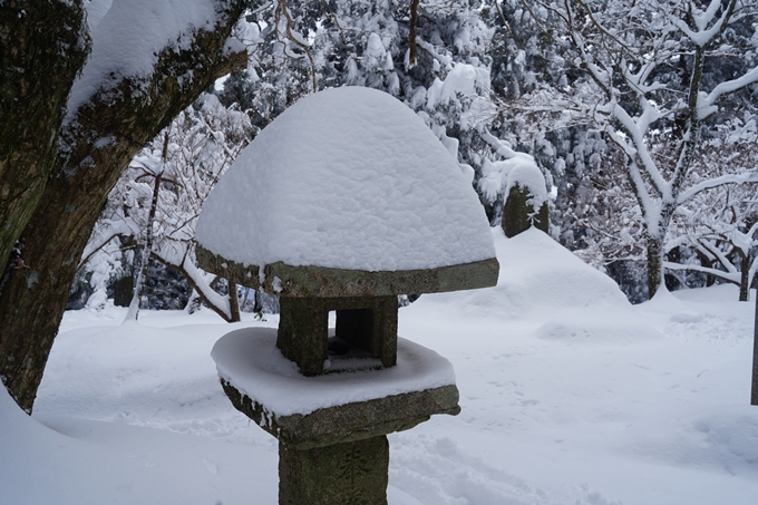 愛宕山_積雪_2022　No152