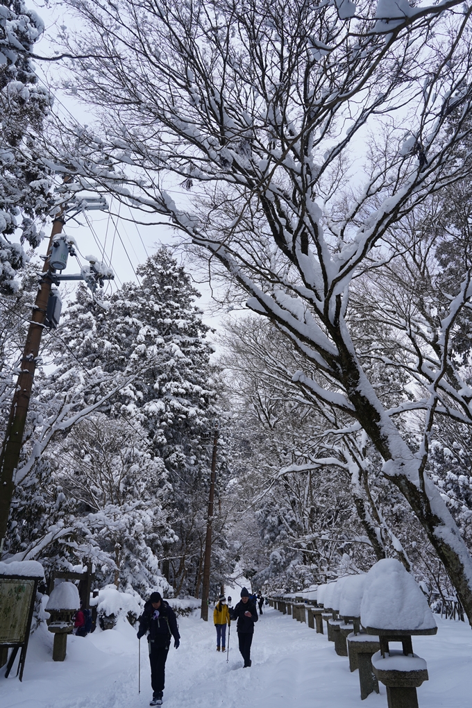 愛宕山_積雪_2022　No154