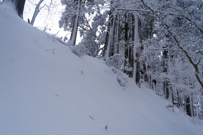 愛宕山_積雪_2022　No155