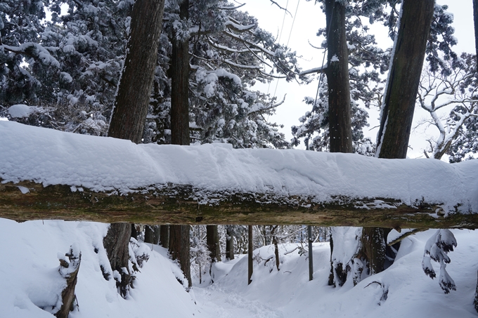 愛宕山_積雪_2022　No158