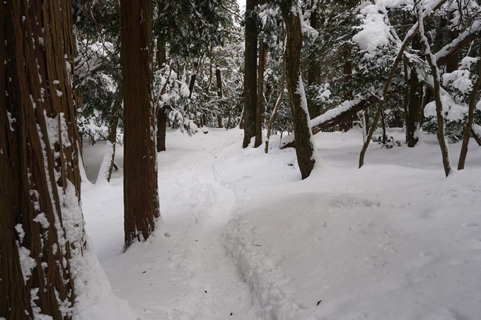 愛宕山_積雪_2022　No163