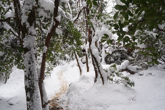 愛宕山_積雪_2022　No164