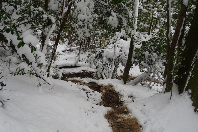 愛宕山_積雪_2022　No167