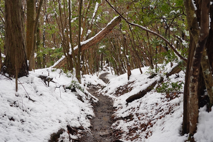 愛宕山_積雪_2022　No169