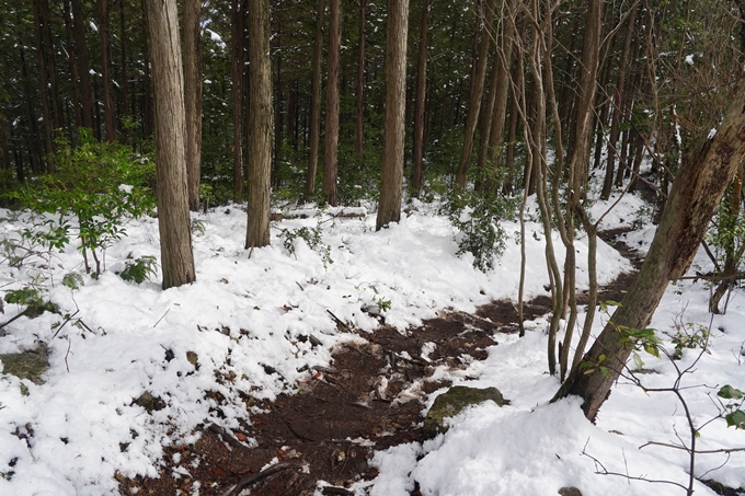 愛宕山_積雪_2022　No170