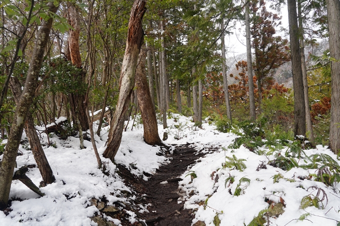 愛宕山_積雪_2022　No171