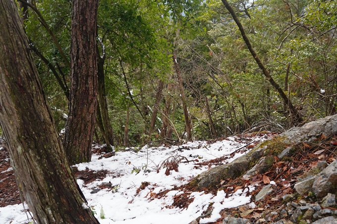 愛宕山_積雪_2022　No176