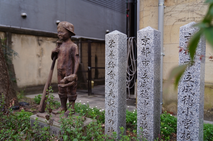 京都_桜情報_2022_01　旧京都市立成徳中学校　No3