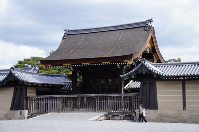 京都_桜情報_2022_02　京都御苑　No18