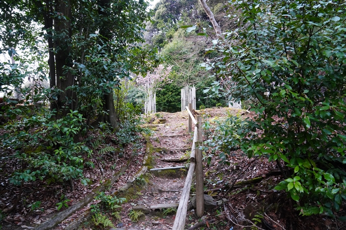 京都_桜情報_2022_04　熊野若王子神社　No4