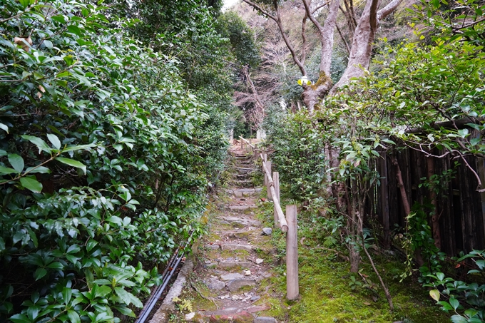 京都_桜情報_2022_04　熊野若王子神社　No3