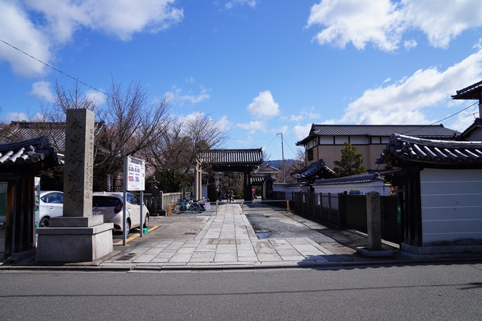 京都_桜情報_2022_07　本満寺　No2