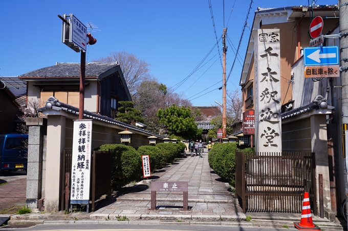 京都_桜情報_2022_10　千本釈迦堂　No2