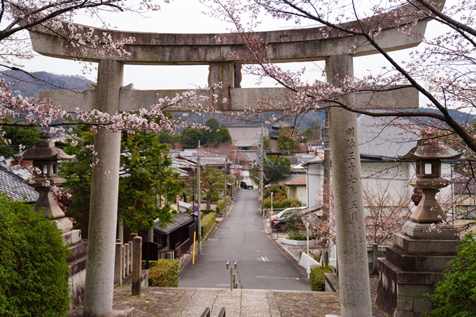 京都_桜情報_2022_13　宗忠神社_竹中稲荷社　No5