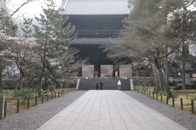 京都_桜情報_2022_16　南禅寺　No3