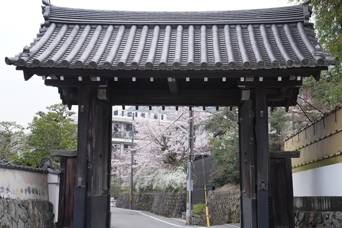 京都_桜情報_2022_16　南禅寺　No19