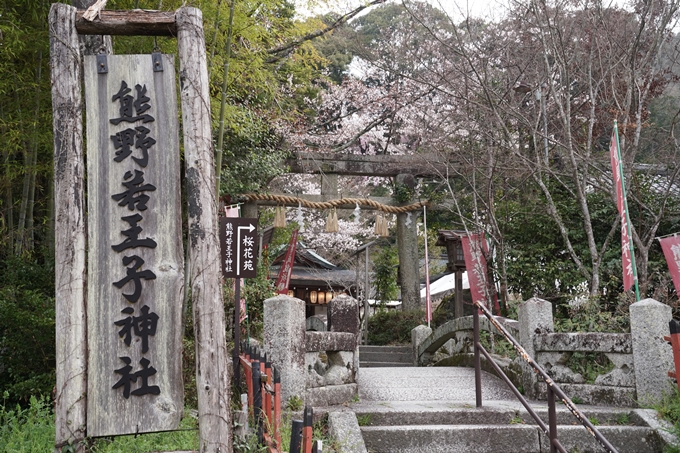 京都_桜情報_2022_17　熊野若王子神社_桜花苑　No3