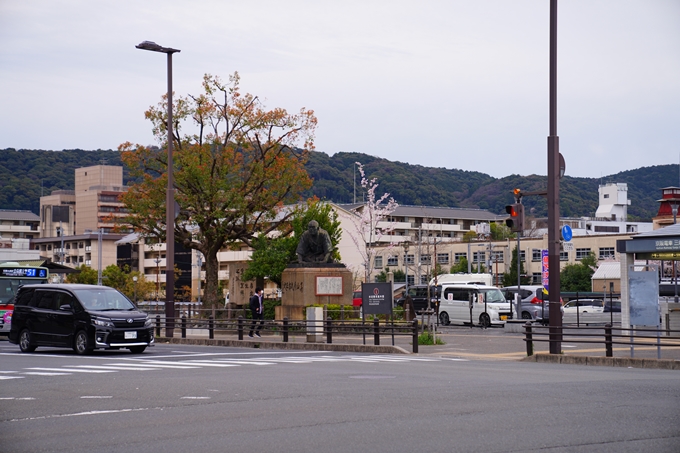 京都_桜情報_2022_24　鴨川　紅しだれ桜並木(三条京阪)　No16