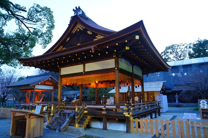 京都_桜情報_2022_25　平野神社　No13