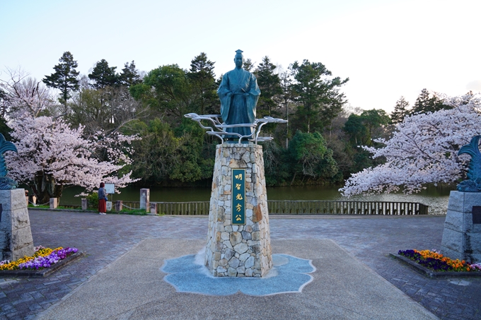 京都_桜情報_2022_35　南郷公園　No2