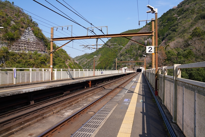 京都_桜情報_2022_43　保津峡駅　No18