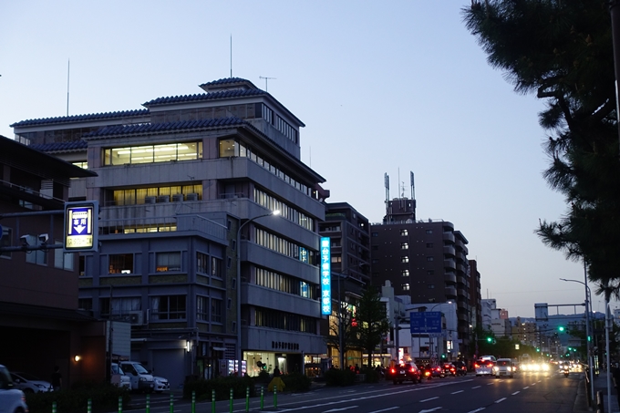 京都_桜情報_2022_52　堀川通　No26