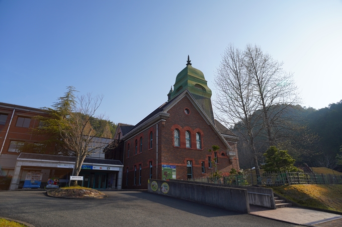 京都_桜情報_2022_51　八木城跡　No2