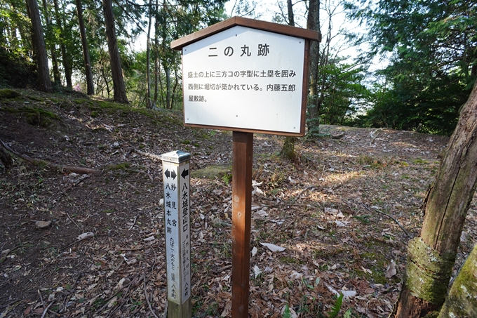 京都_桜情報_2022_51　八木城跡　No17