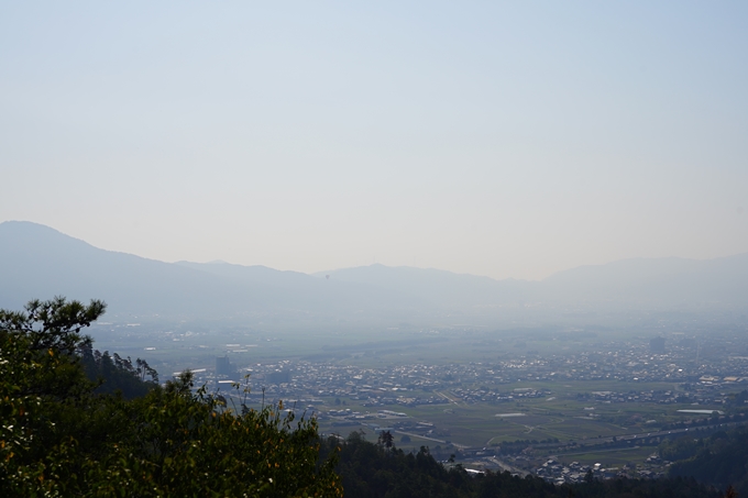 京都_桜情報_2022_51　八木城跡　No38