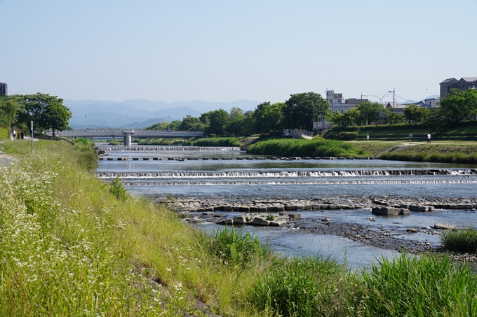 鴨川ウォーク_2022　No65