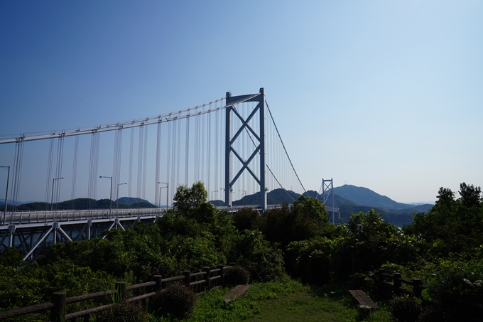 しまなみ海道_01　生口島サイクリング　No5