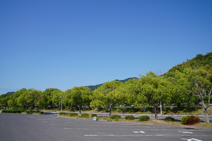 しまなみ海道_01　生口島サイクリング　No9