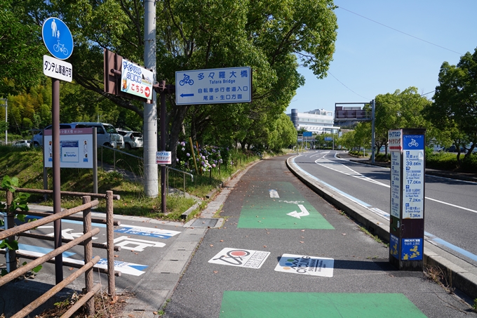 しまなみ海道_01　生口島サイクリング　No15