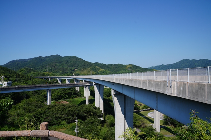 しまなみ海道_01　生口島サイクリング　No22