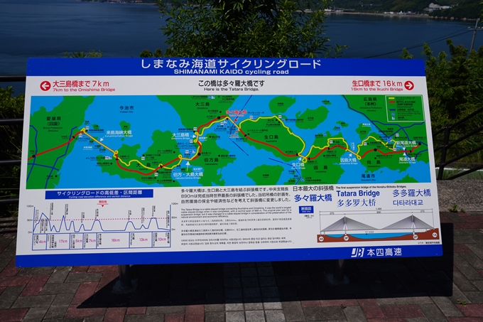 しまなみ海道_01　生口島サイクリング　No43