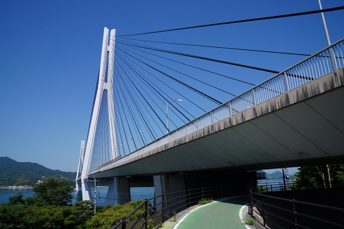 しまなみ海道_01　生口島サイクリング　No45