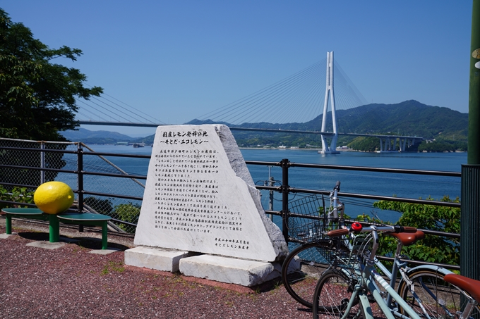しまなみ海道_01　生口島サイクリング　No51