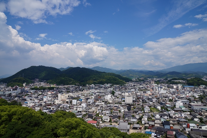 しまなみ海道_04　瀬戸内_お城　No47