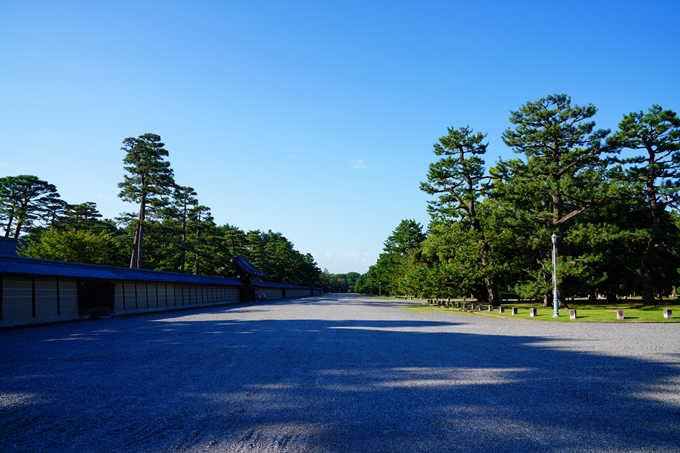 京都御苑_2022-08-03　No23