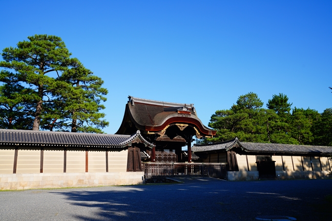 京都御苑_2022-08-03　No24